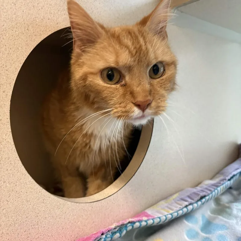 Grandpa Gus thumbnail 2