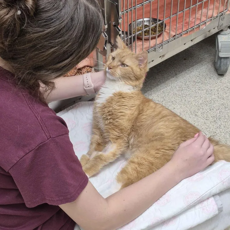 Grandpa Gus thumbnail 3