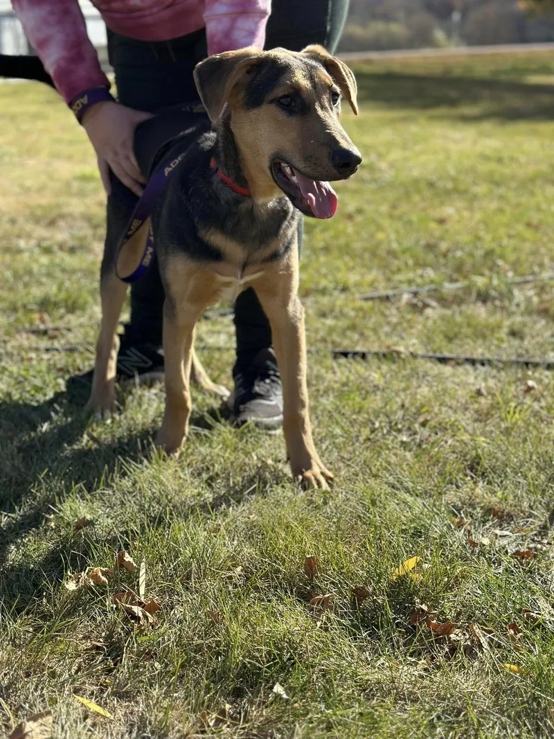 Mercedes thumbnail 2