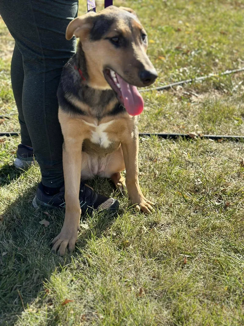 Mercedes thumbnail 3