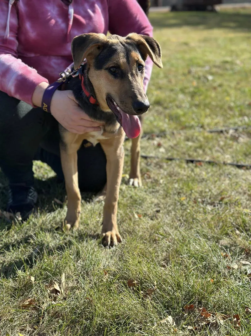 Mercedes thumbnail 4