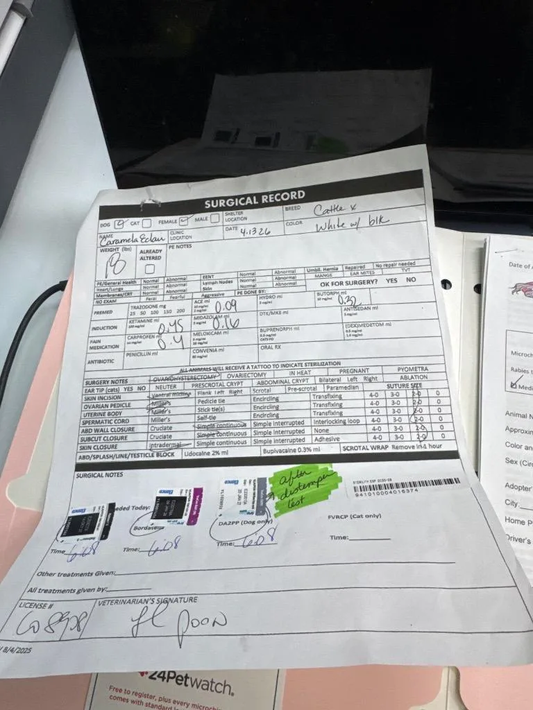 Caramela Eclair thumbnail 2