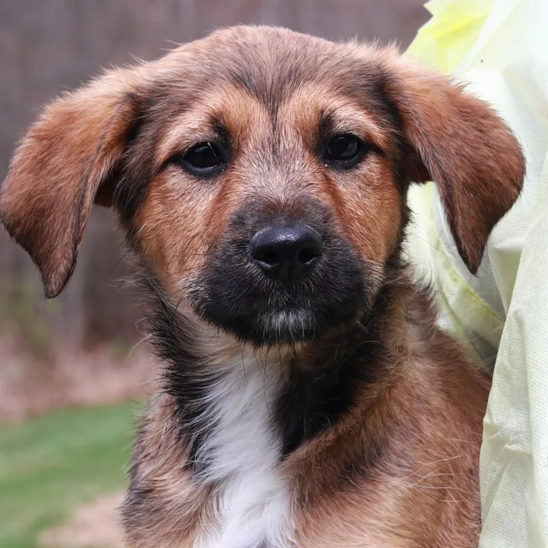 Ct Tj Maxx thumbnail 3