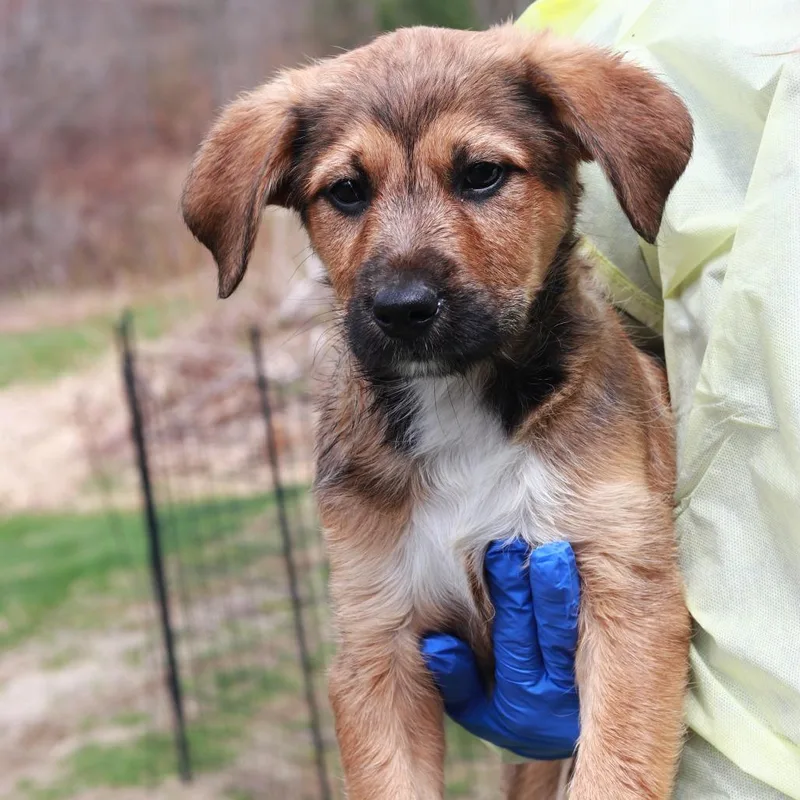 Ct Tj Maxx thumbnail 5