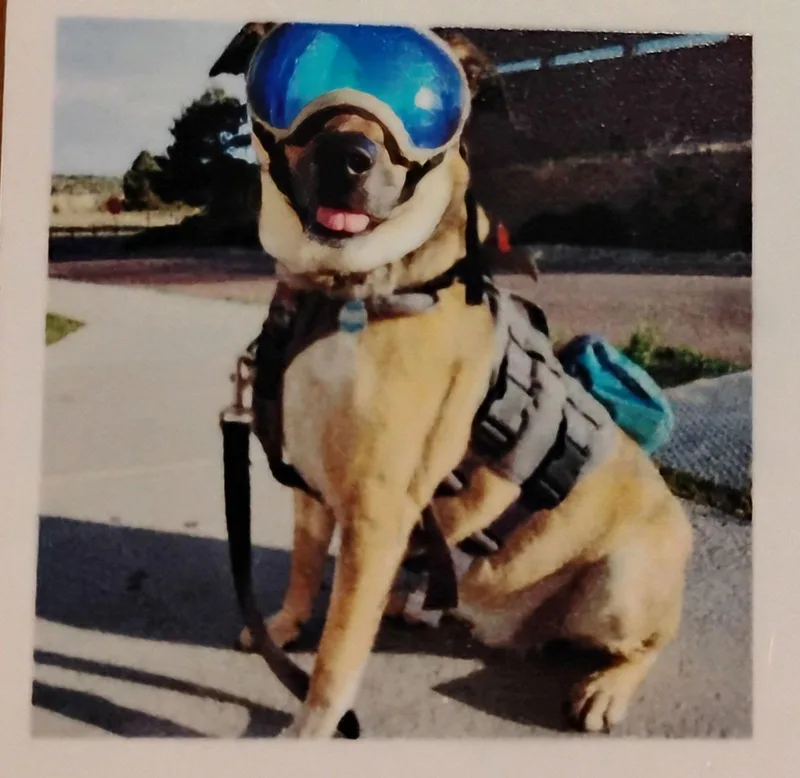 Buddy Ralph thumbnail 2