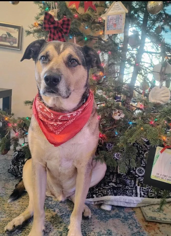 Buddy Ralph thumbnail 3