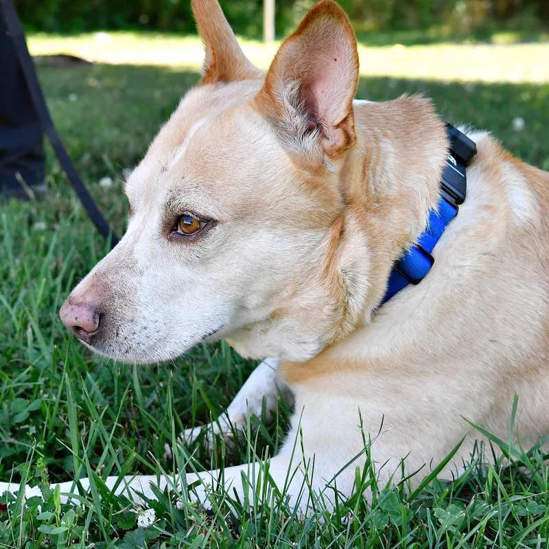 Cooper thumbnail 5