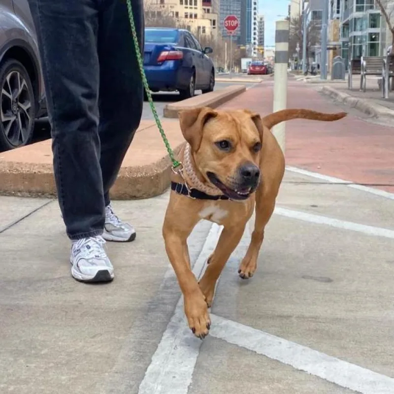 Nectarine thumbnail 2