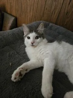 Theodore thumbnail 3