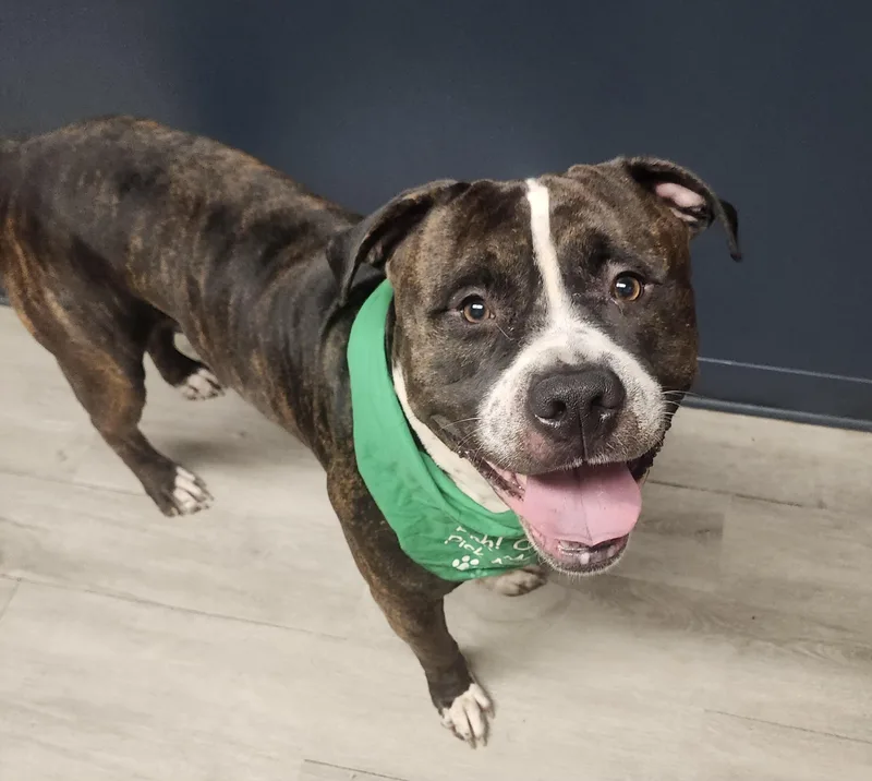 Snack Wrap thumbnail 3