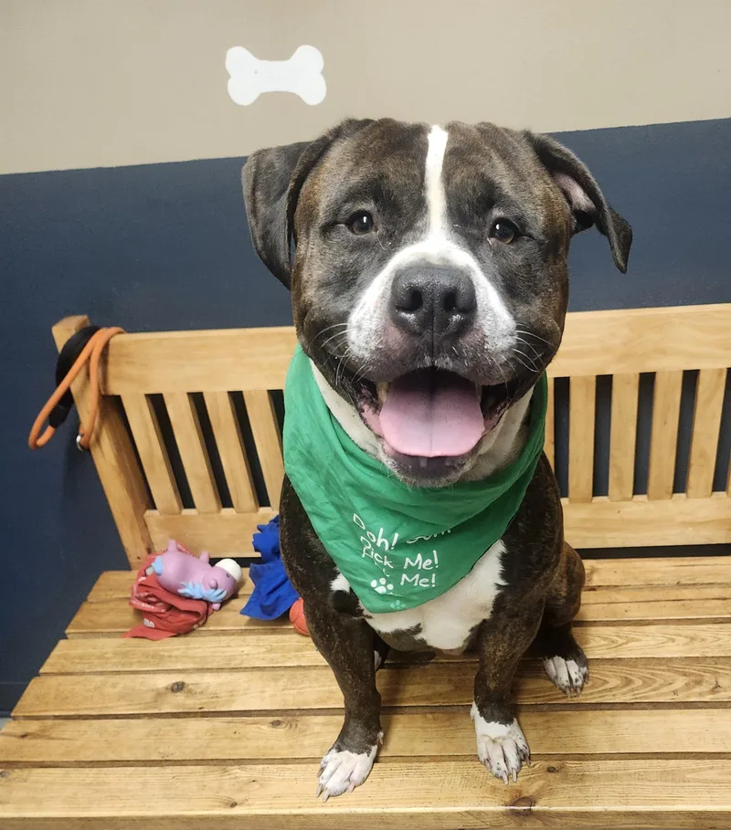 Snack Wrap thumbnail 4