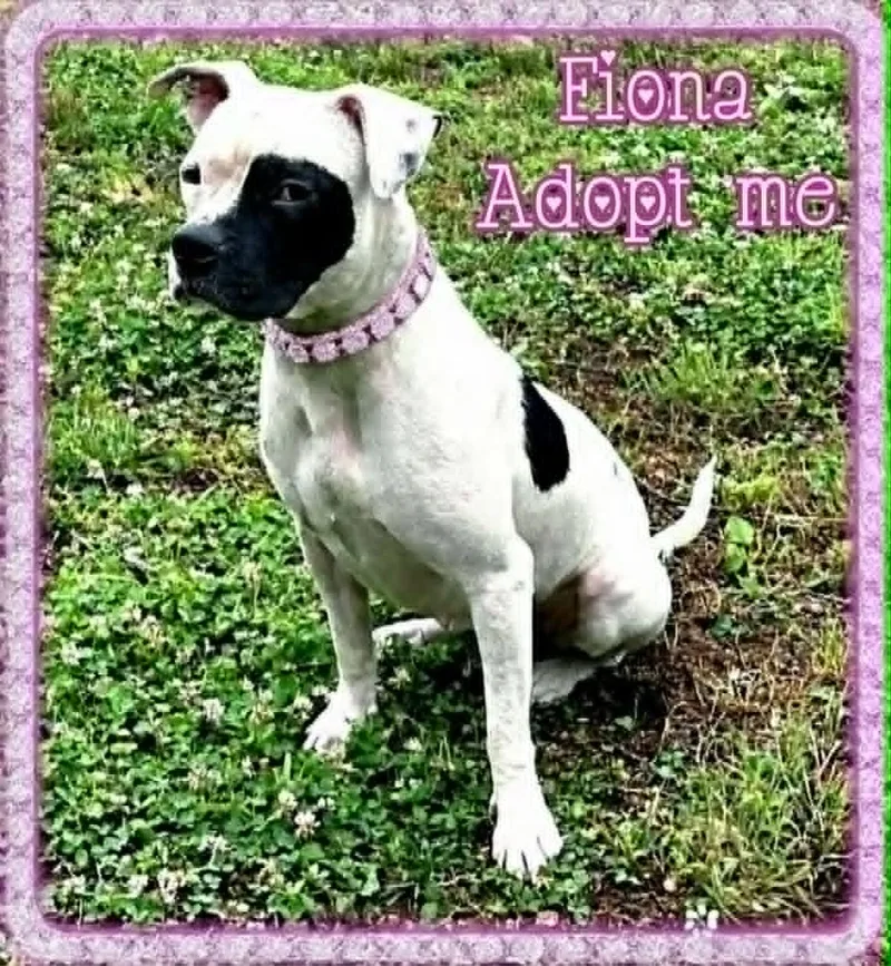 Fiona thumbnail 5