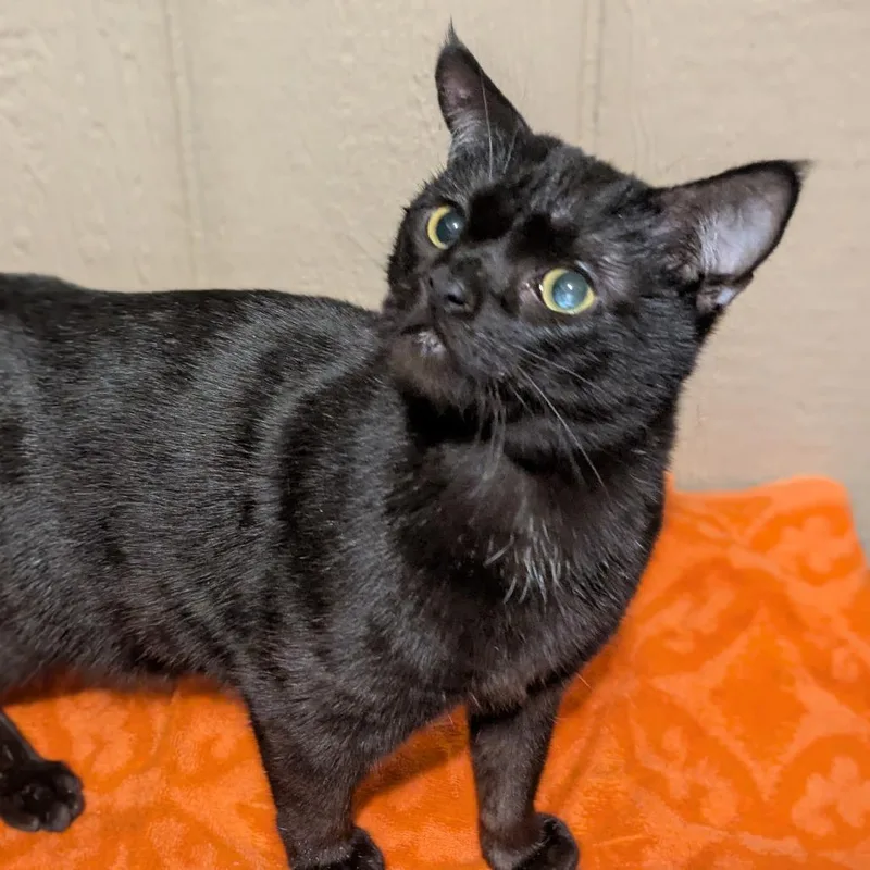 Brainerd thumbnail 3