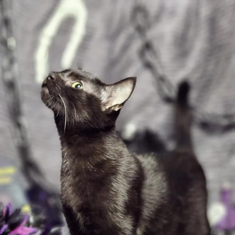 Brainerd thumbnail 4