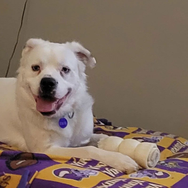 Falcor thumbnail 2