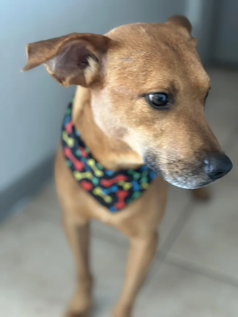 Mr Smiley thumbnail 2