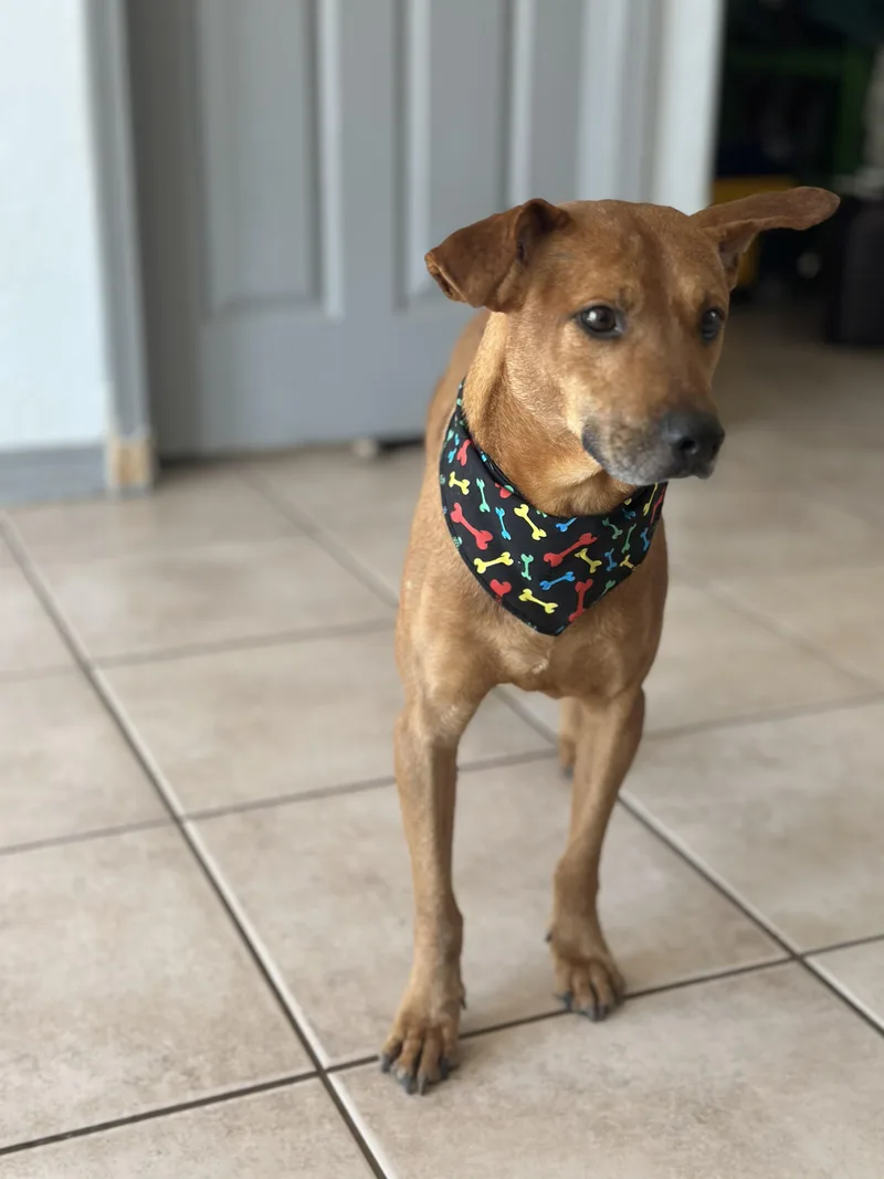 Mr Smiley thumbnail 3