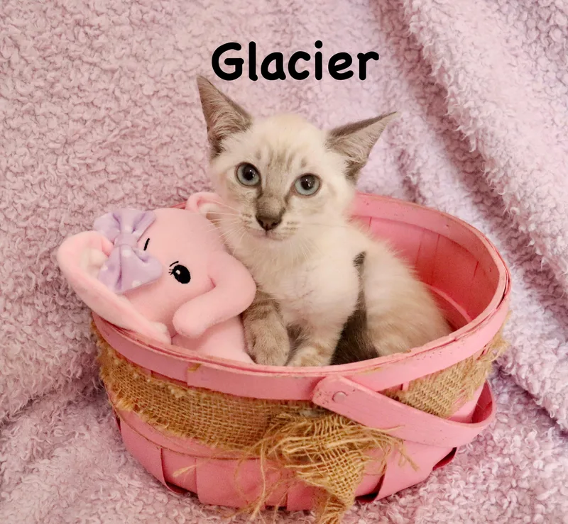 Glacier thumbnail 4