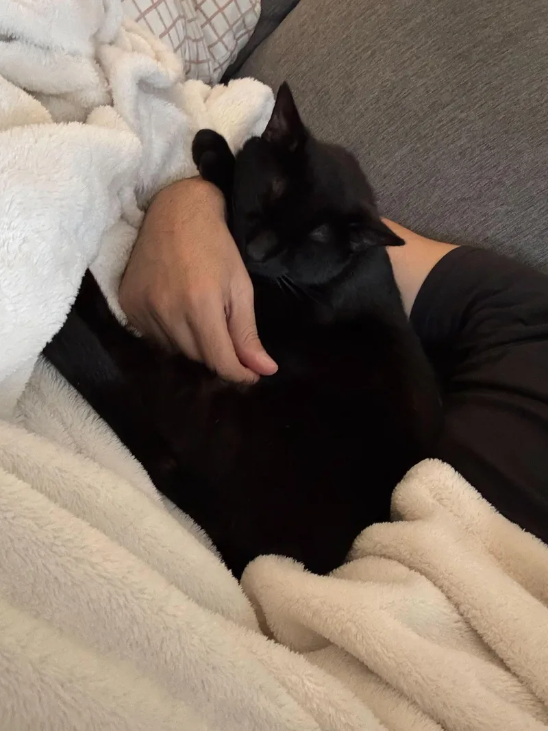 Beans Frijoles thumbnail 2