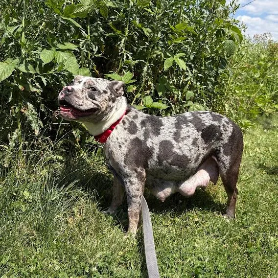 Delilah thumbnail 3