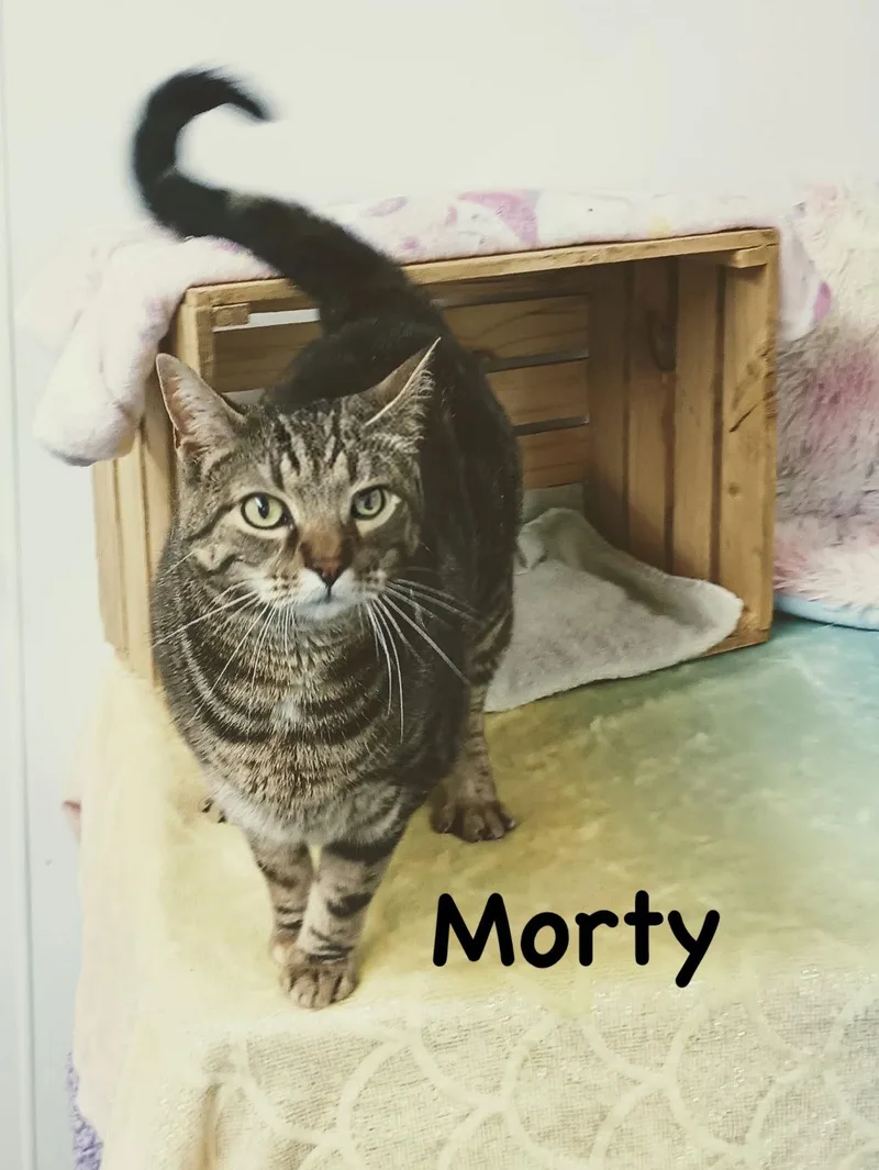 Morty