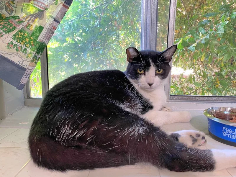 Pretty Woman!!! ....walkin' Down