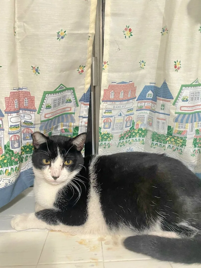 Pretty Woman!!! ....walkin' Down thumbnail 3