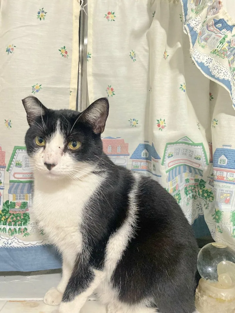 Pretty Woman!!! ....walkin' Down thumbnail 4