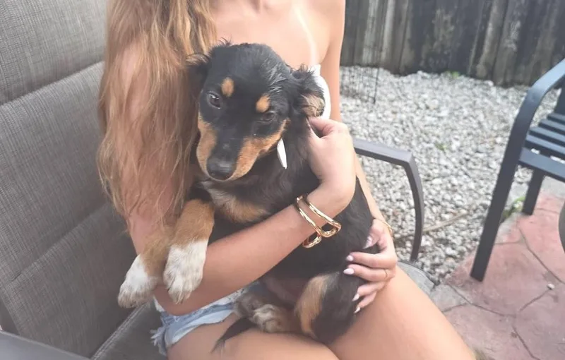 Ernie