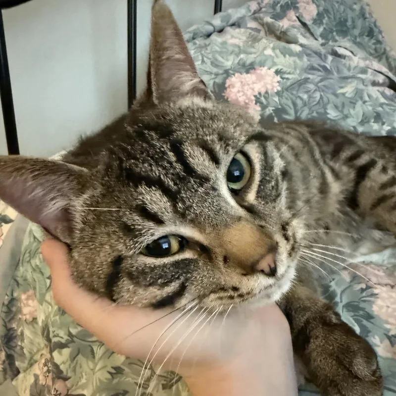 Found Se Rochester thumbnail 2