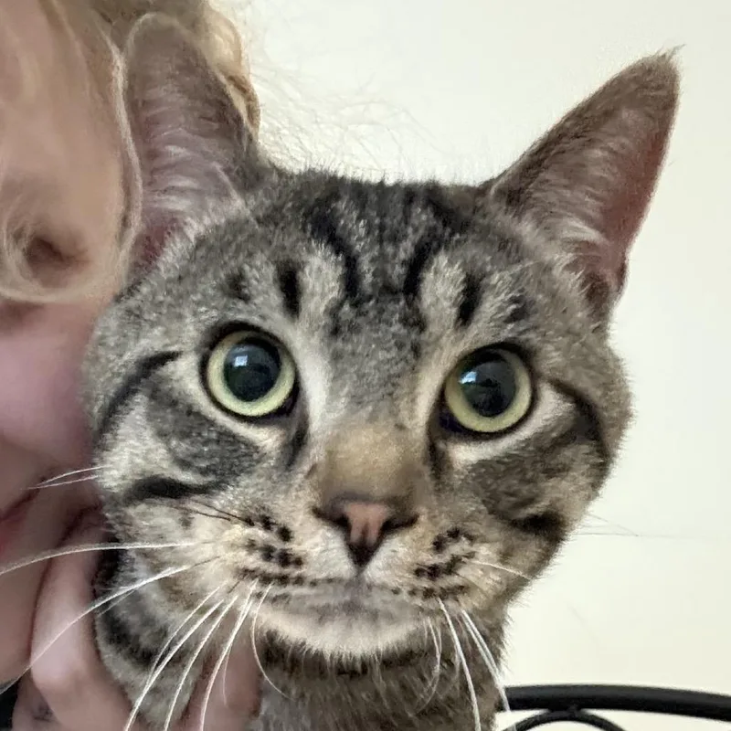 Found Se Rochester thumbnail 3