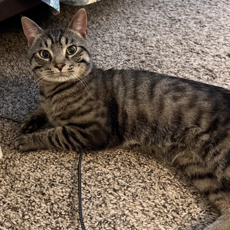 Found Se Rochester thumbnail 4