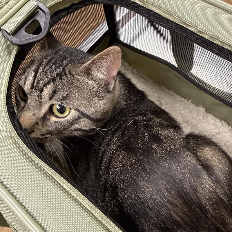 Found Se Rochester thumbnail 5