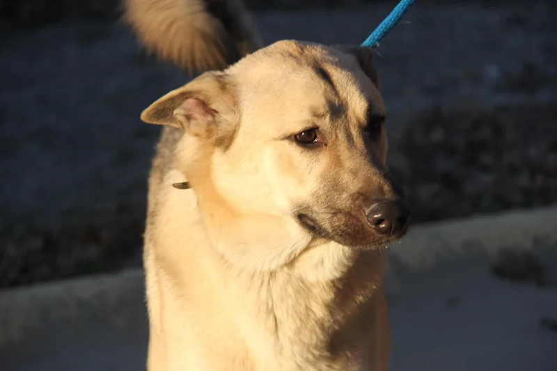 Hennessy And Whiskey thumbnail 3