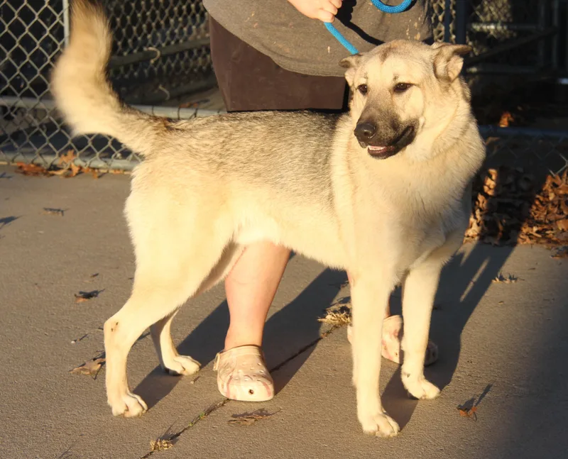 Hennessy And Whiskey thumbnail 5