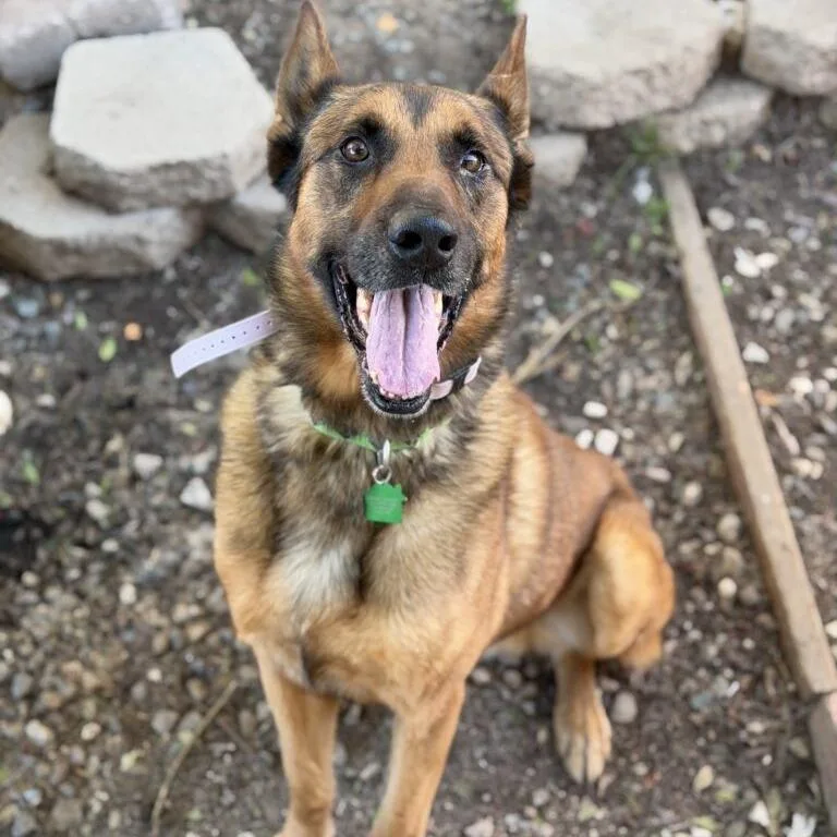 Ragnar