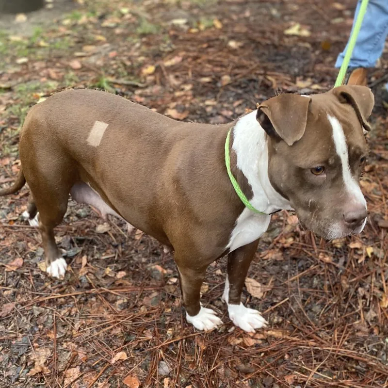 Momma Girl thumbnail 2