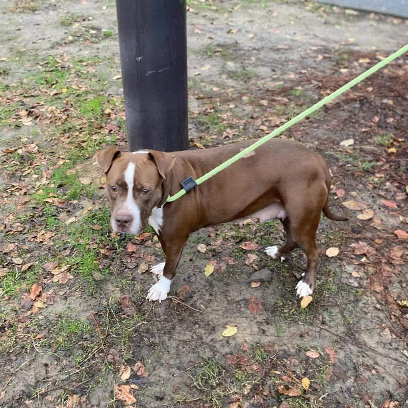 Momma Girl thumbnail 3