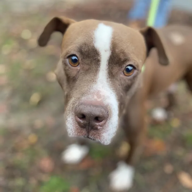 Momma Girl thumbnail 4