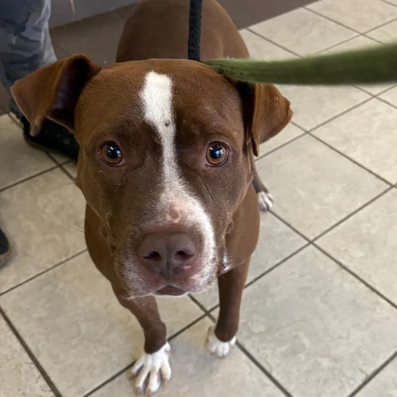 Momma Girl thumbnail 5