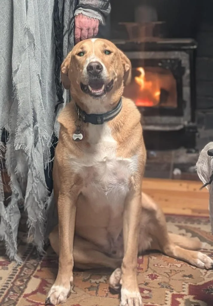 Boeing & Diamond Courtesy