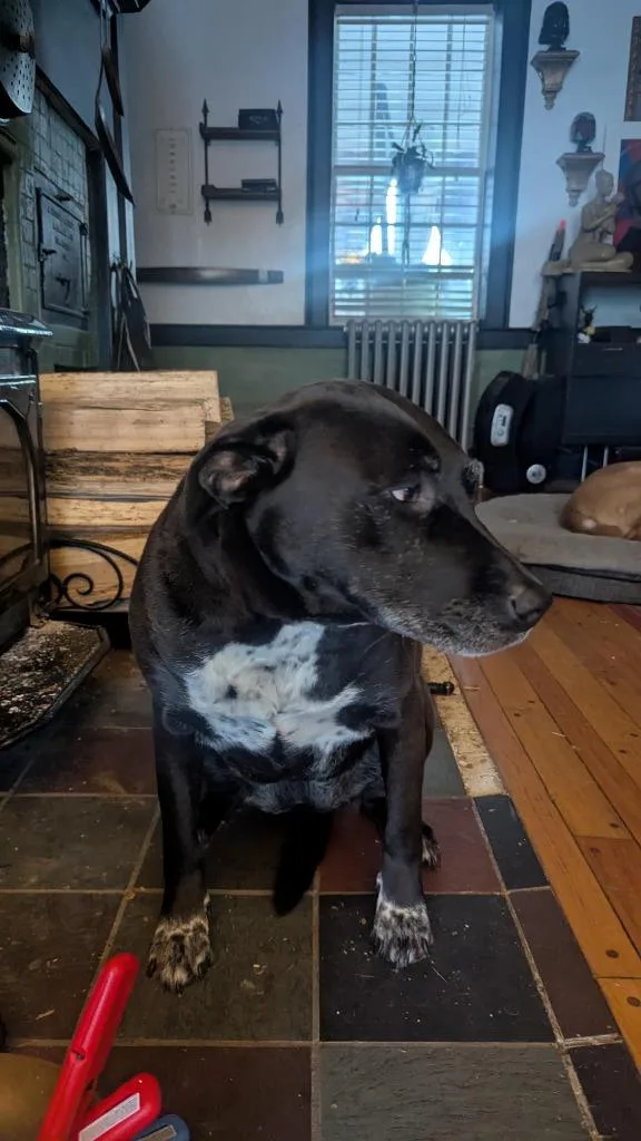 Boeing & Diamond Courtesy thumbnail 2