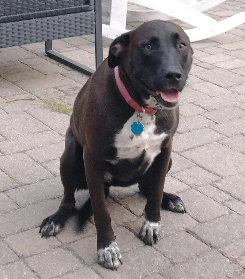 Boeing & Diamond Courtesy thumbnail 3