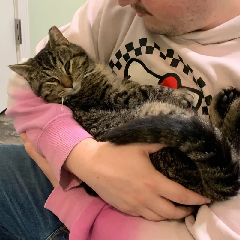 Gus thumbnail 5