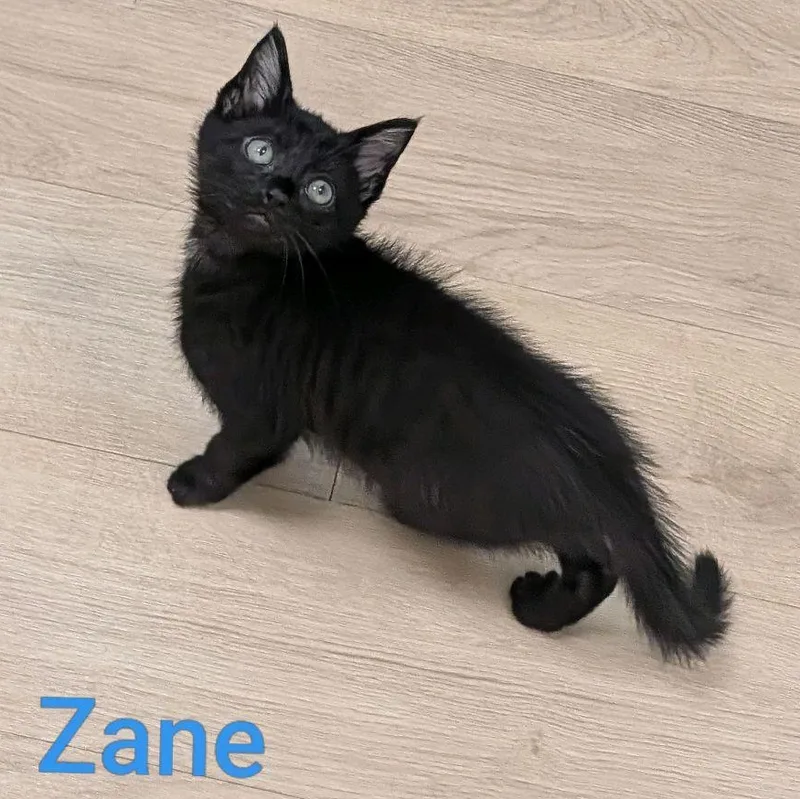 Zane...warning Cuteness incoming thumbnail 2