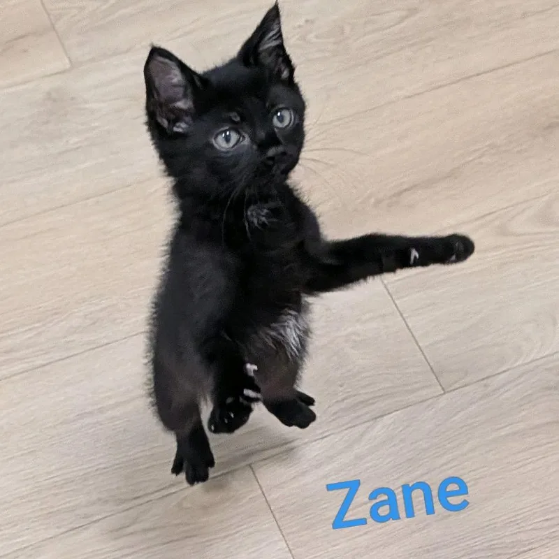 Zane...warning Cuteness incoming thumbnail 3