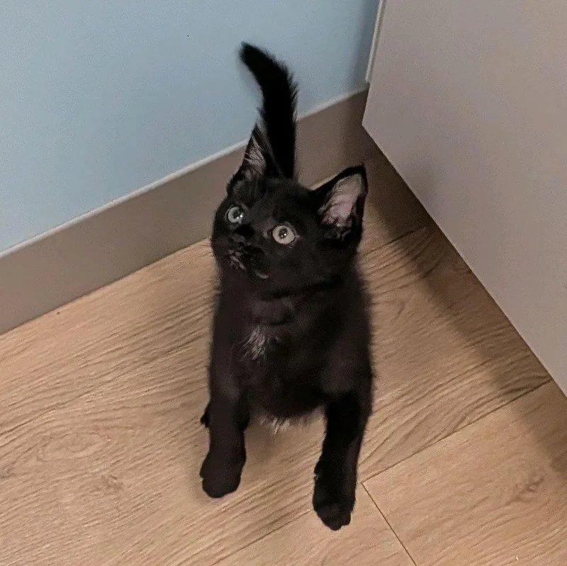 Zane...warning Cuteness incoming thumbnail 4