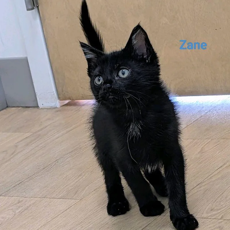 Zane...warning Cuteness incoming thumbnail 5