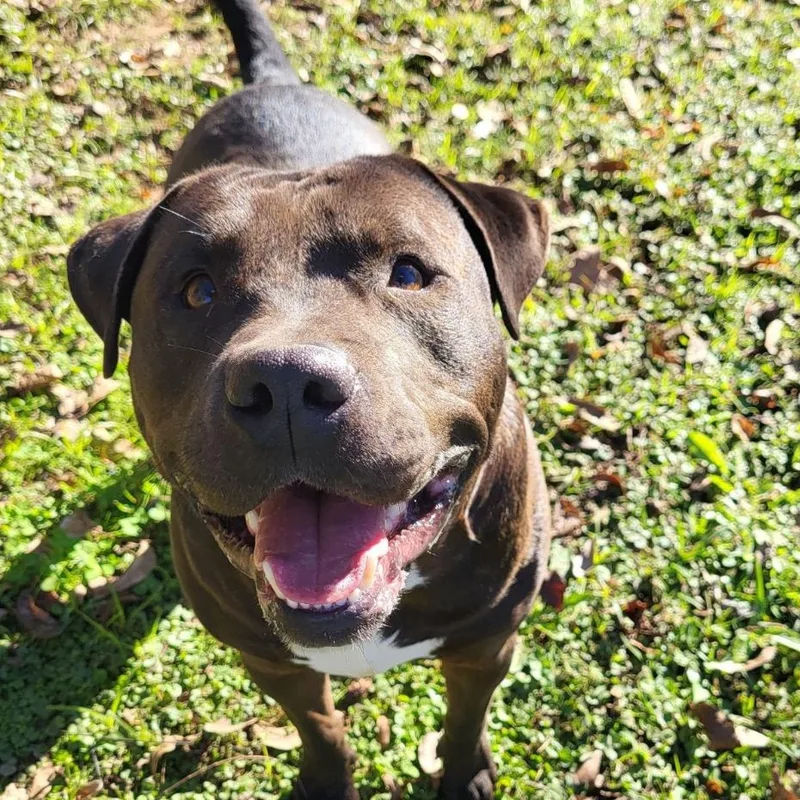 Hot Shot thumbnail 2