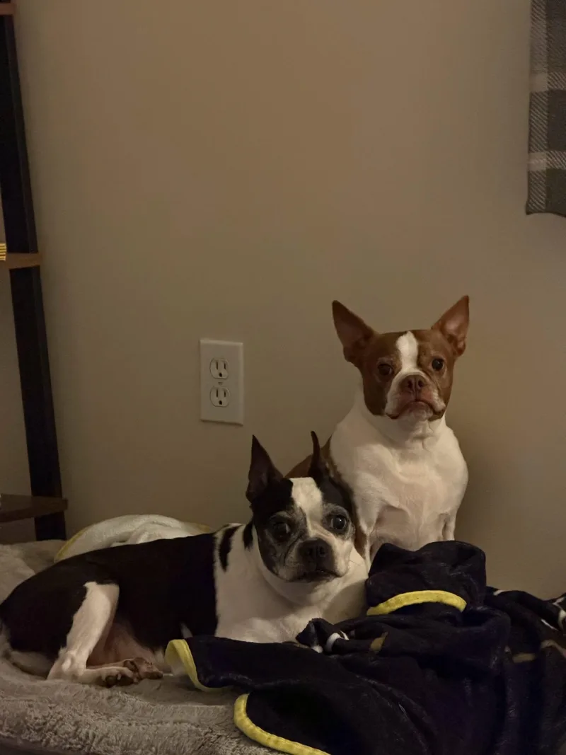 Kiko and Kiara Bonded